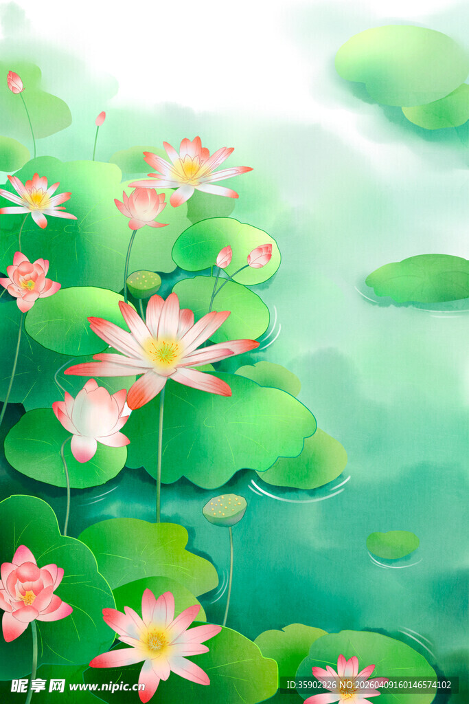 夏日荷塘中的娇艳荷花