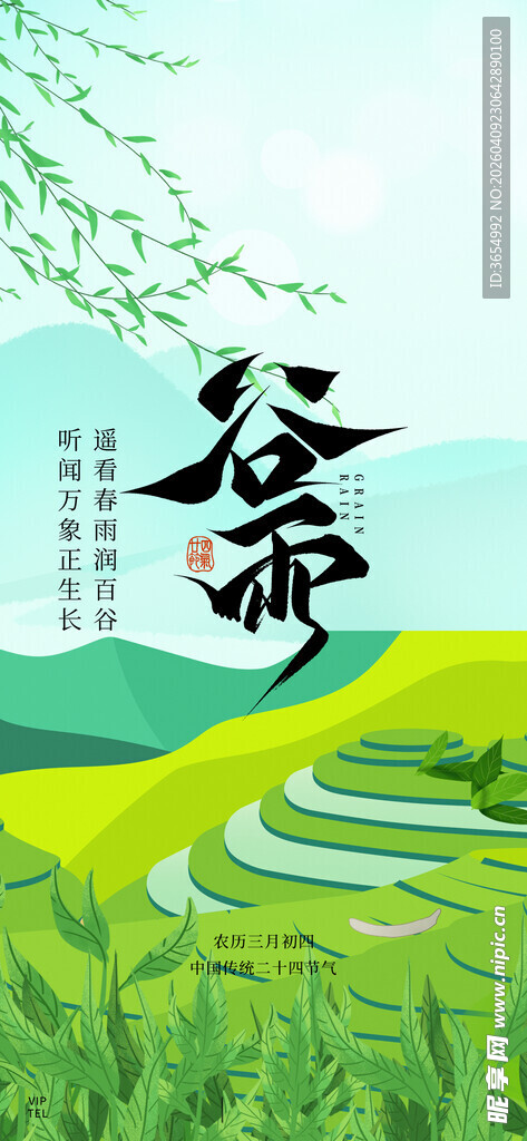 春日梯田谷雨美景