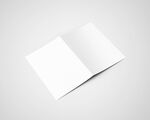 空白A5双折页设计展示样机