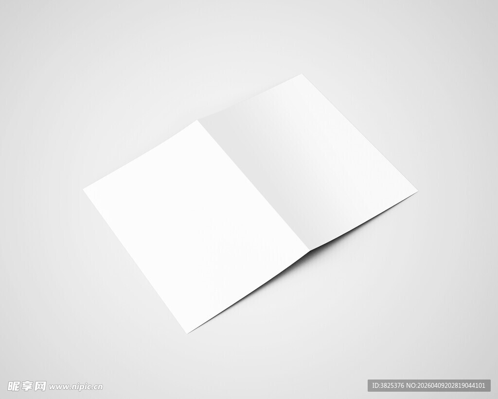 空白A5双折页设计展示样机