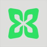 绿色四叶花形图标