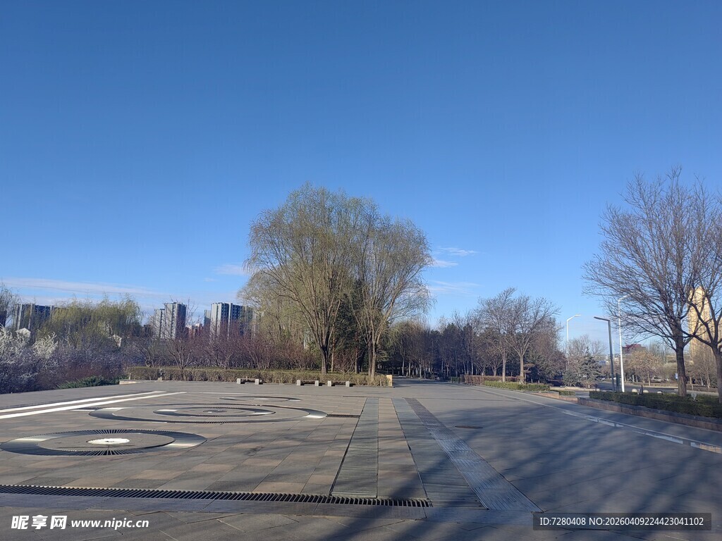 冬日空旷道路与远处树木