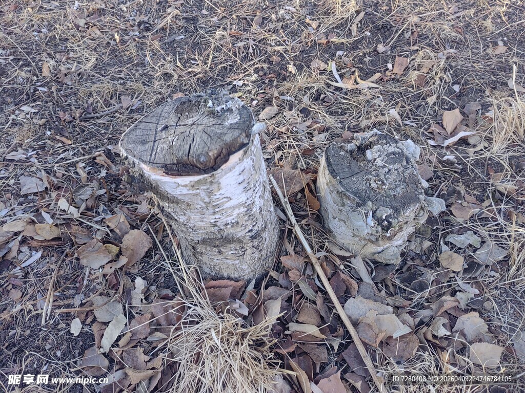 野外破损金属容器与工具