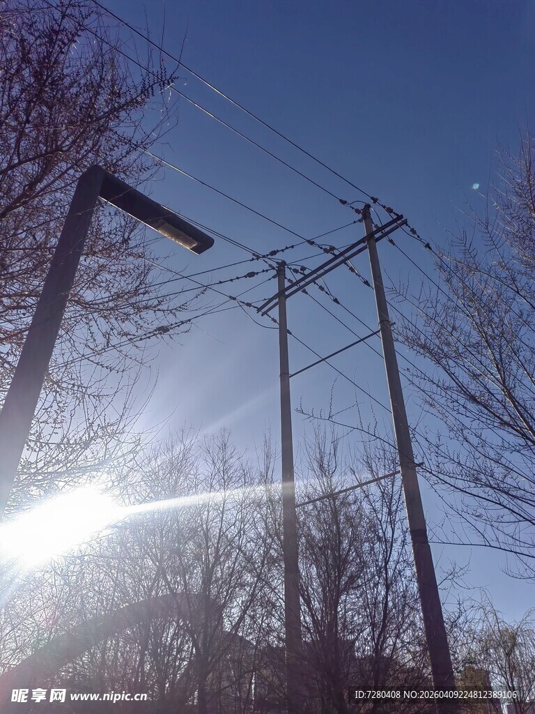 阳光下的电线杆与电线