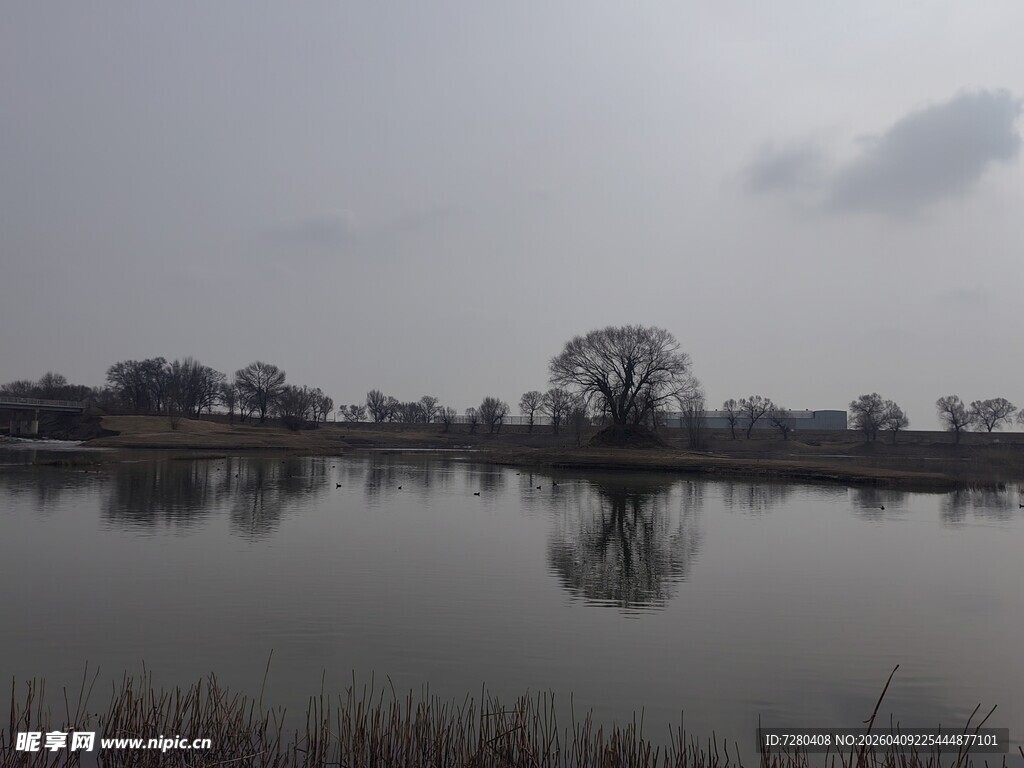 宁静湖面与远处树木景象