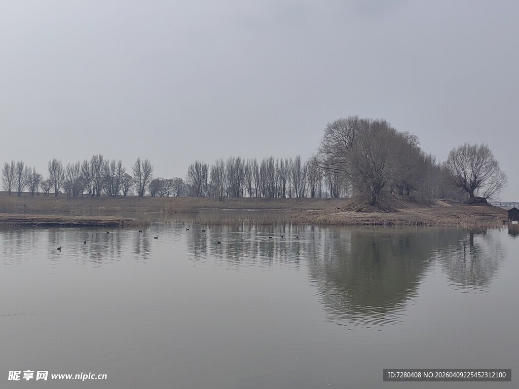 宁静湖面与岸边树木倒影