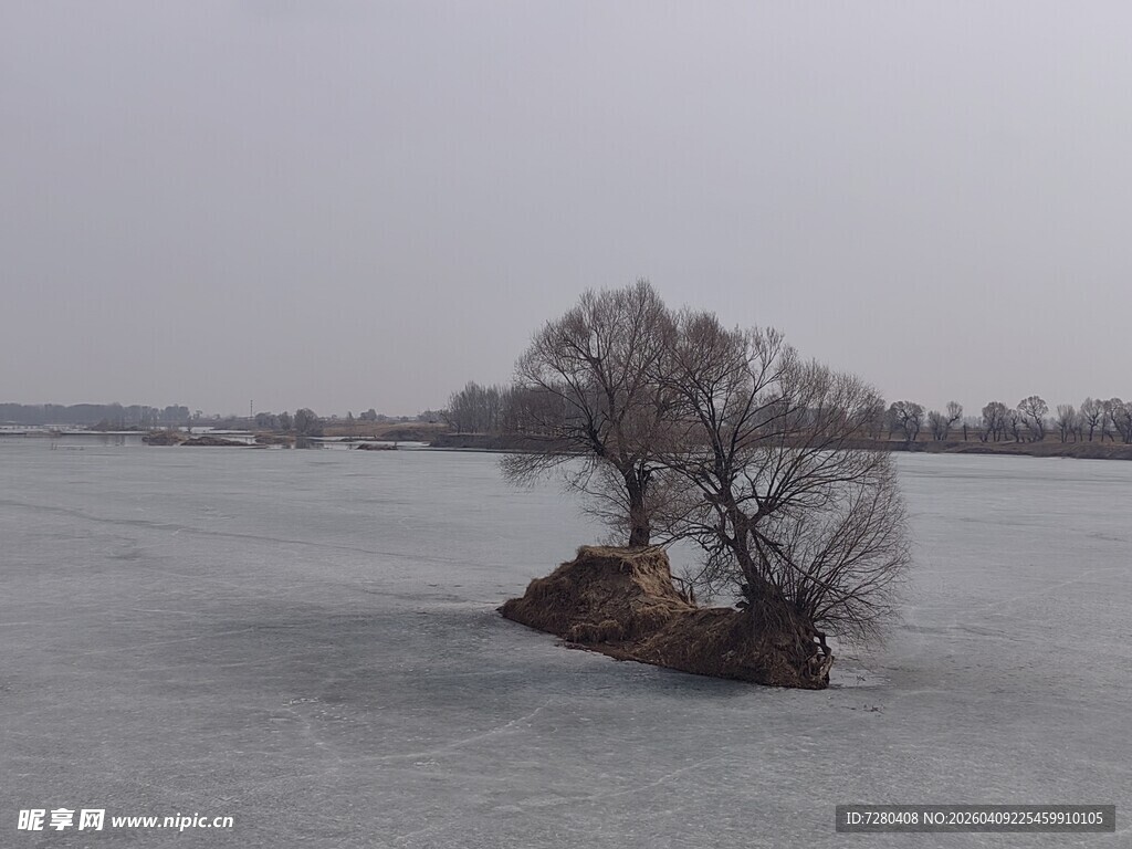 孤树屹立于冰封湖面