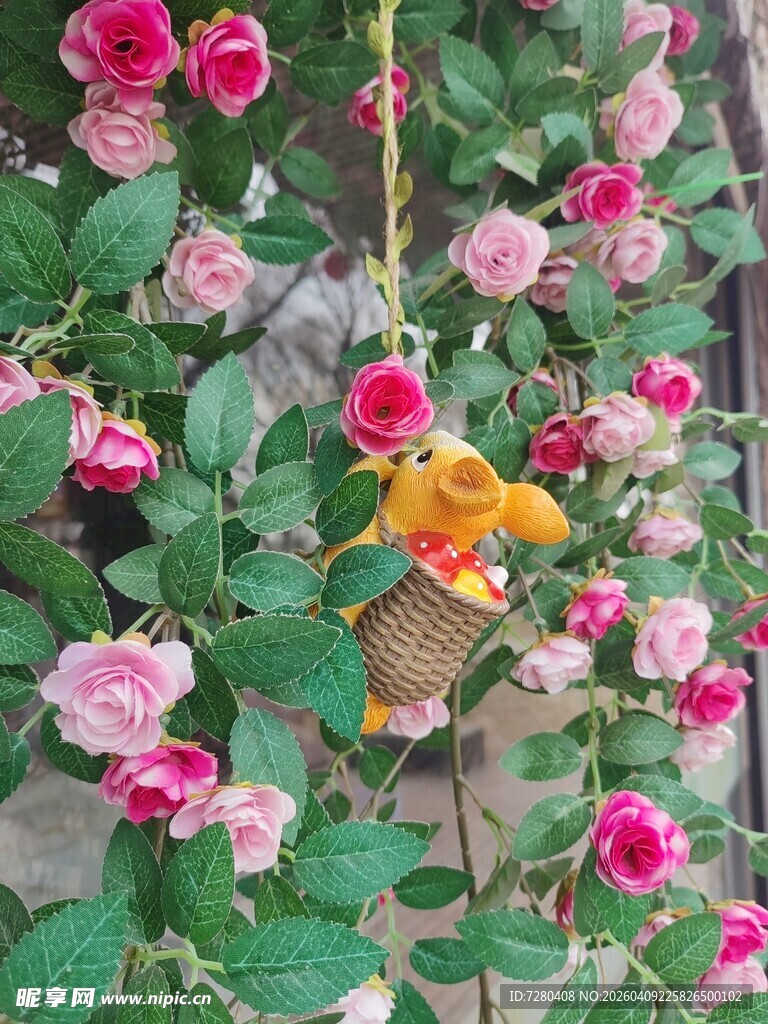 花丛中的多彩鸟儿