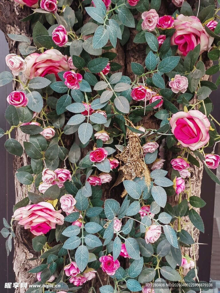 繁花簇拥的艳丽月季花