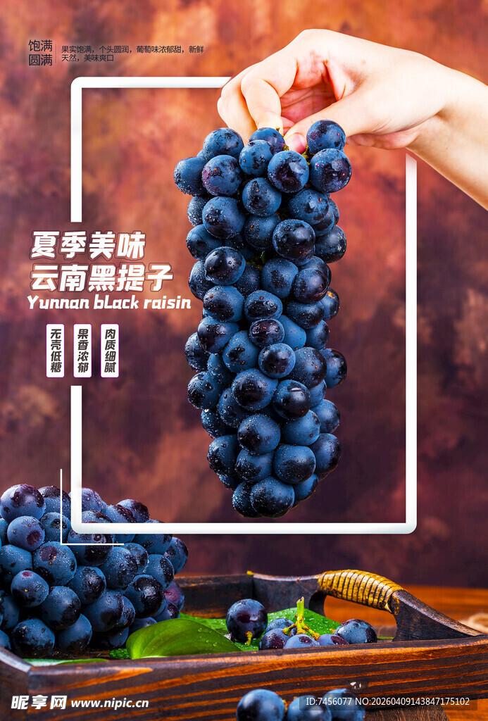 手捧紫葡萄新鲜诱人