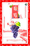 喜庆葡萄插画设计素材
