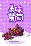 美味葡萄开启甜蜜味蕾之旅