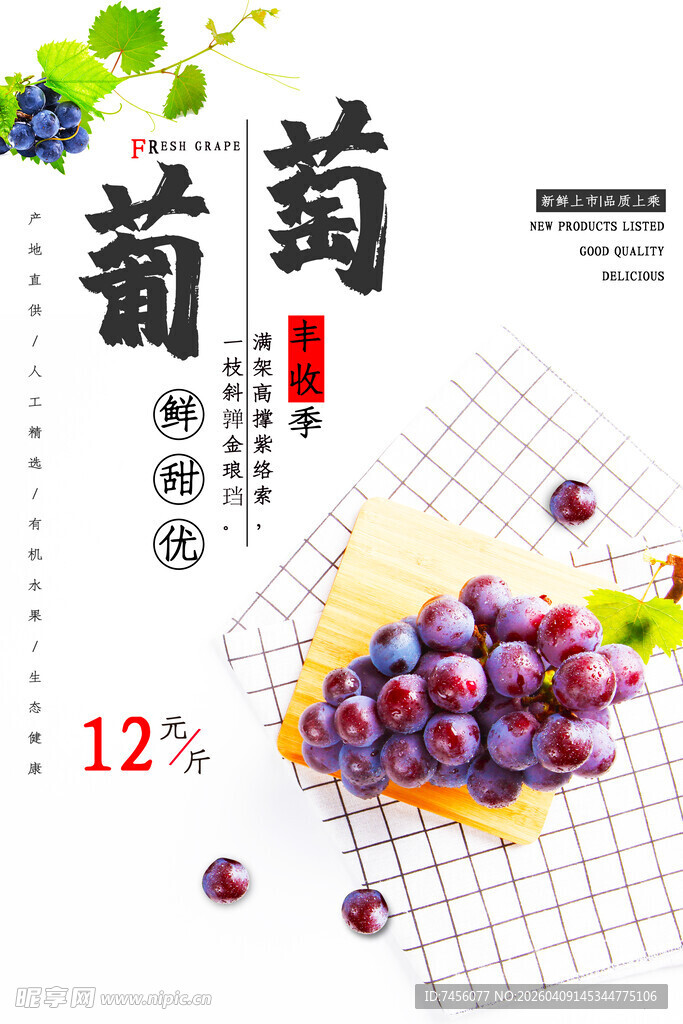 葡萄主题插画设计素材