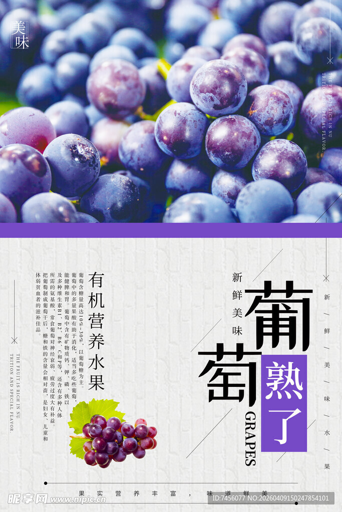 紫葡萄成熟啦