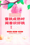 蜜桃成熟季识桃正当时