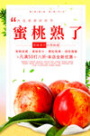 新鲜蜜桃果香四溢诱人