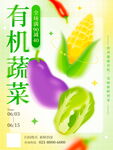 有机蔬菜宣传海报