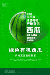绿色有机西瓜宣传海报
