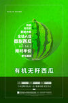 有机无籽西瓜宣传海报