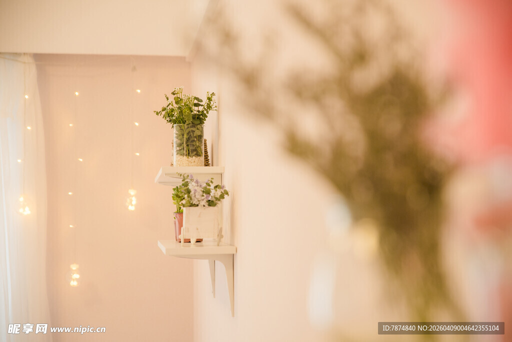 简约墙面绿植装饰小景