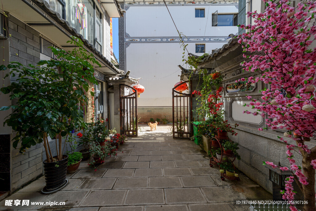 古巷繁花 静谧庭院景致