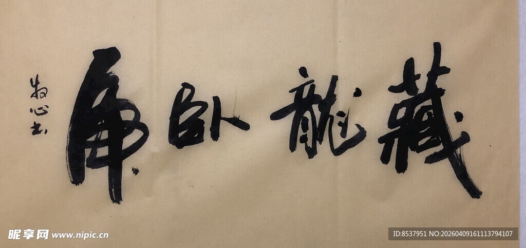 藏龙卧虎 杨克东书法