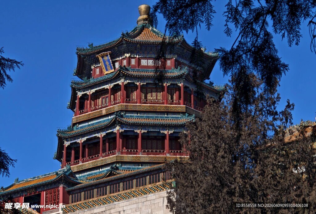 中式古建筑塔楼景观