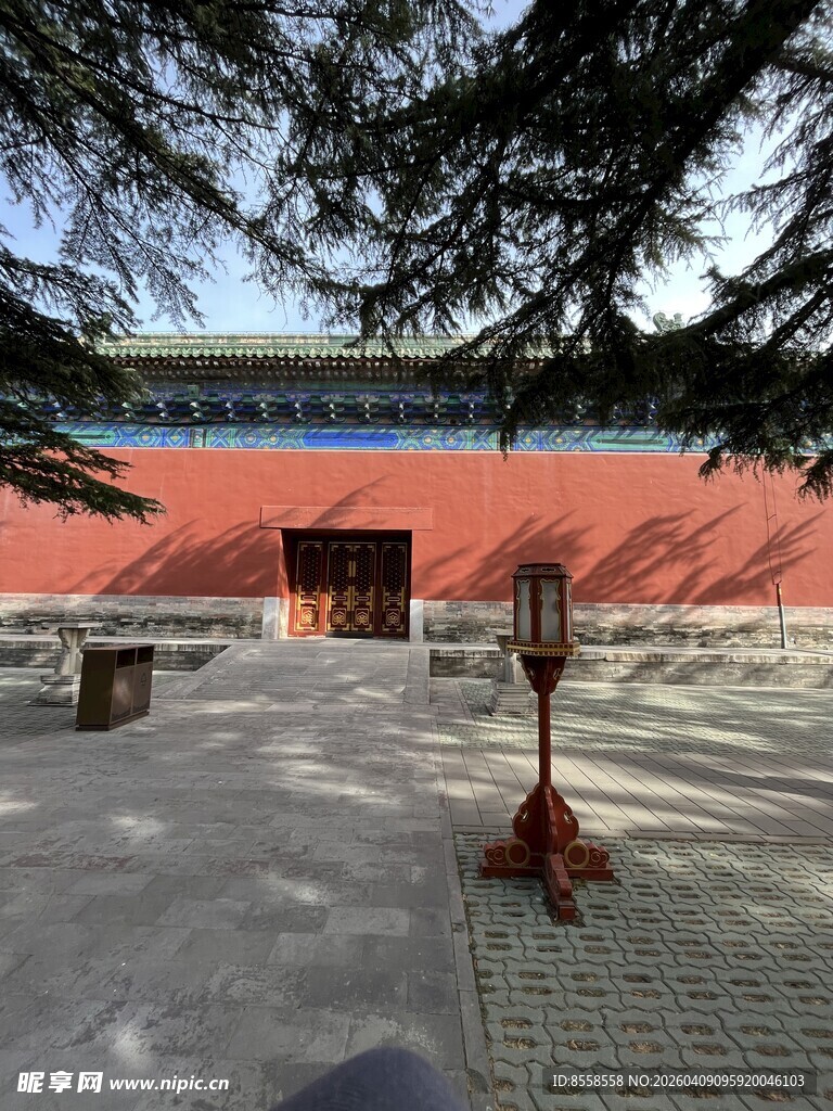 冬日红墙下的静谧景致