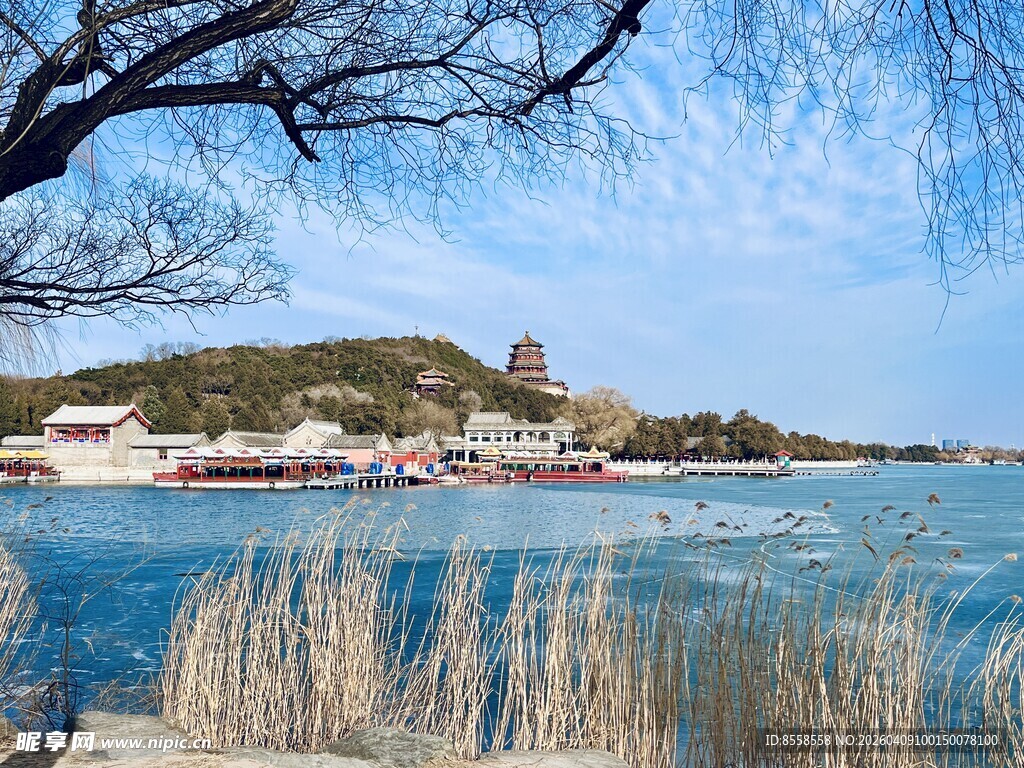颐和园湖畔风景