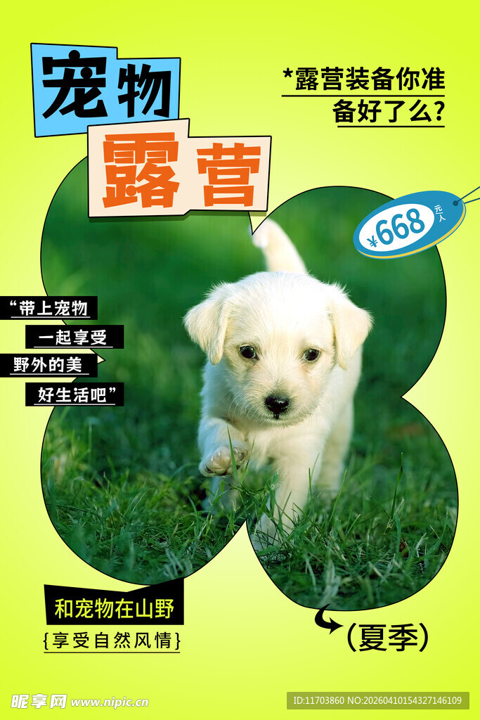 宠物露营海报