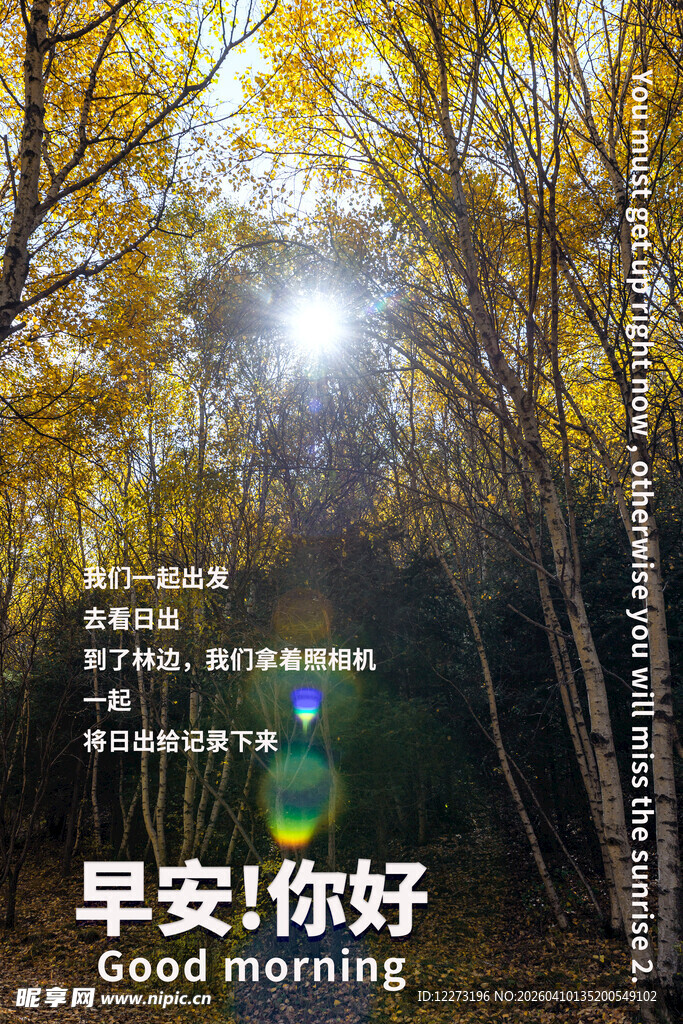 秋日林间早安美好景象