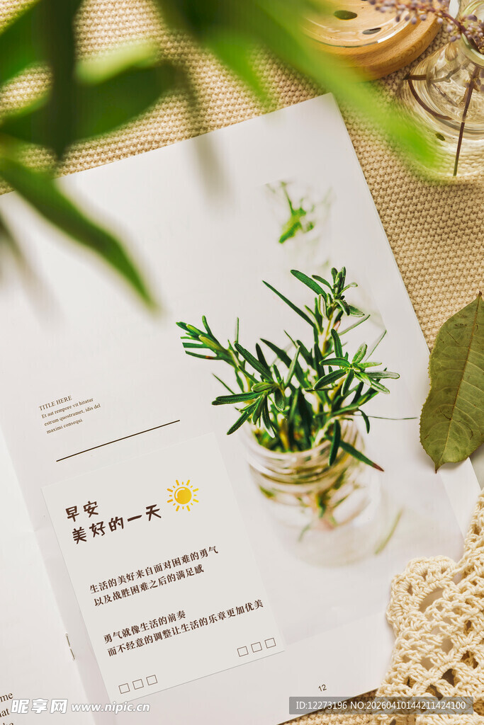 绿植装点的文艺阅读时光