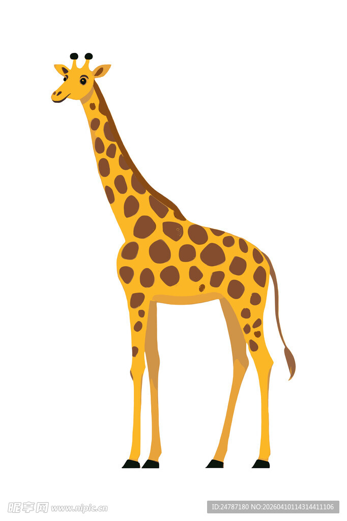 长颈鹿插画