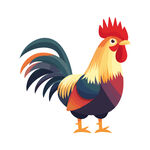 彩色公鸡插画