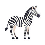 斑马插画