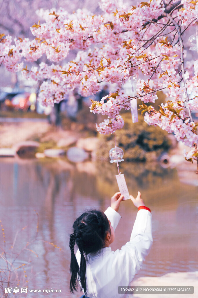女孩赏樱拍照