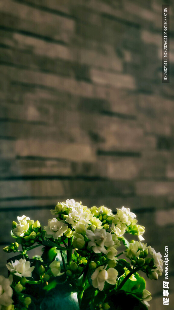 花瓶中的白色花卉