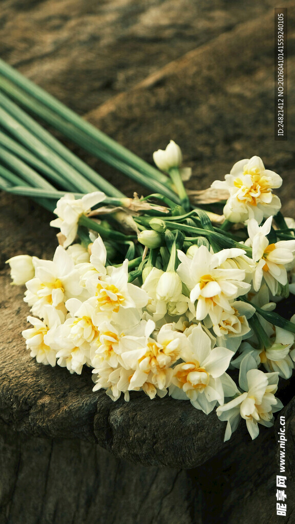 一束清新的黄色水仙花