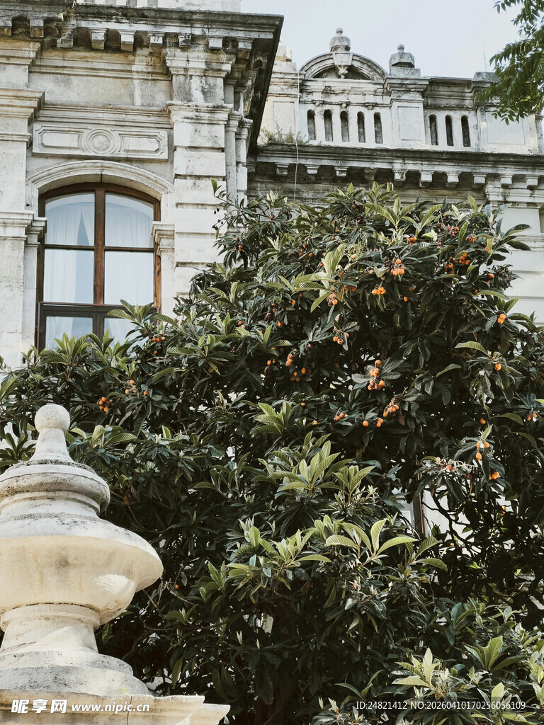 古典建筑旁的绿植景观
