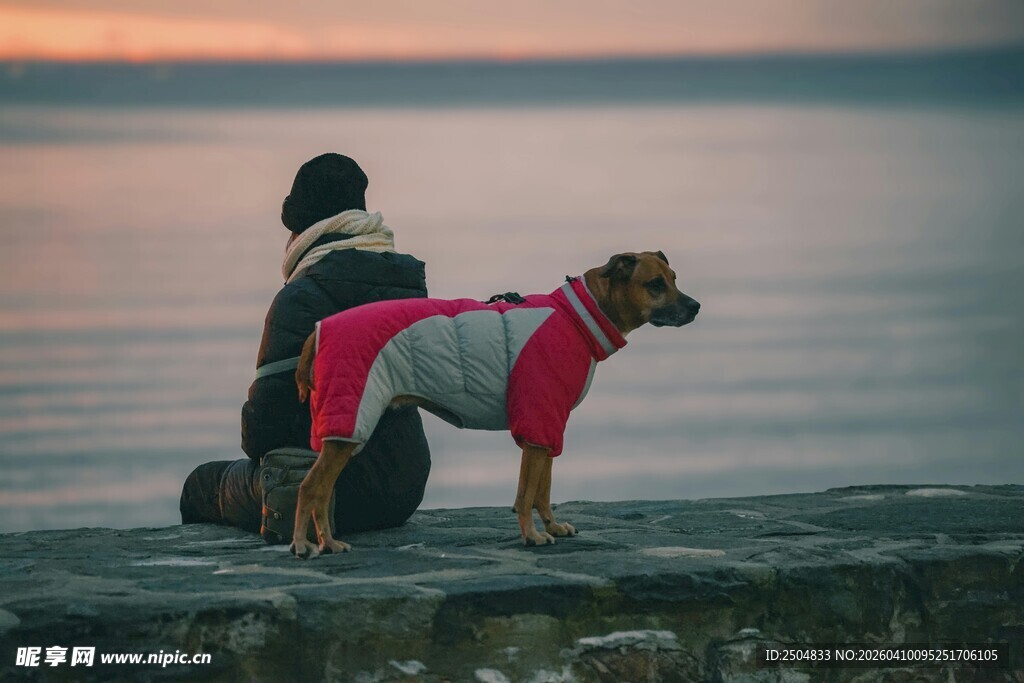 人与狗共赏海边日落美景