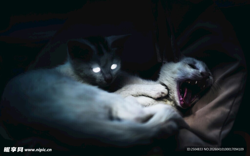 黑暗中发光的神秘抱枕