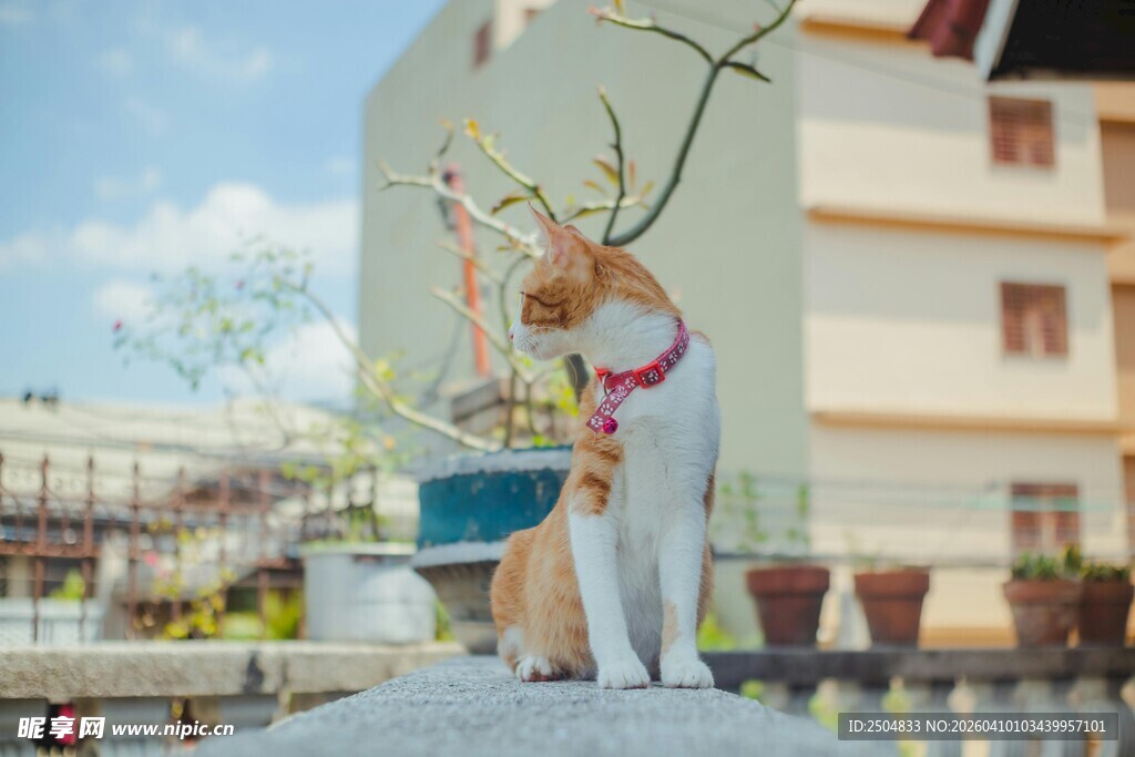 户外可爱小鹿雕塑