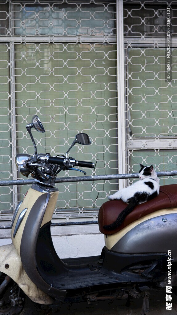 复古踏板车与可爱熊猫摆件