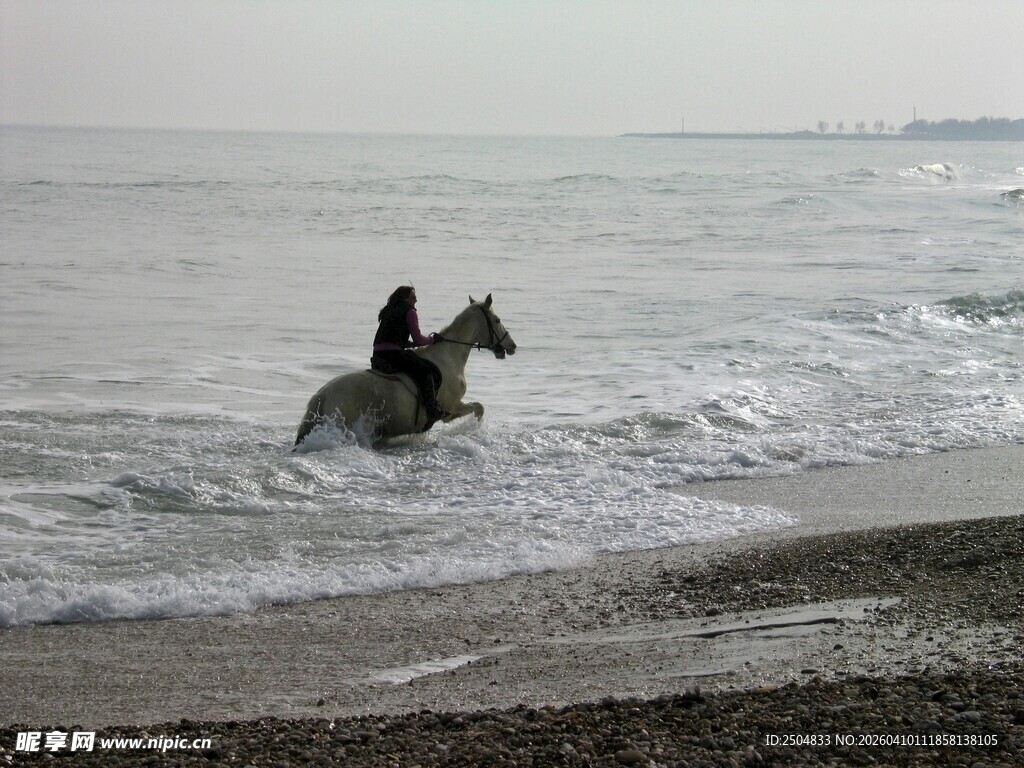 海边骑马踏浪的潇洒身影