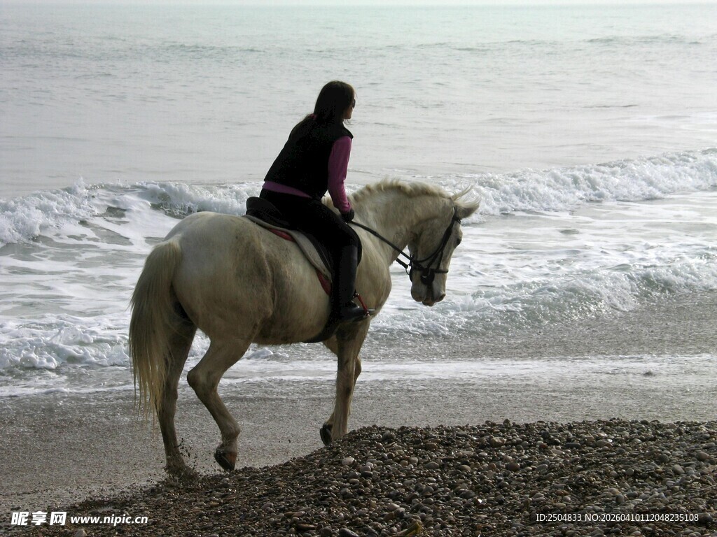 海边骑马的孤独身影