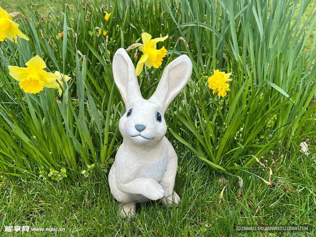 草地上的可爱白兔与黄水仙