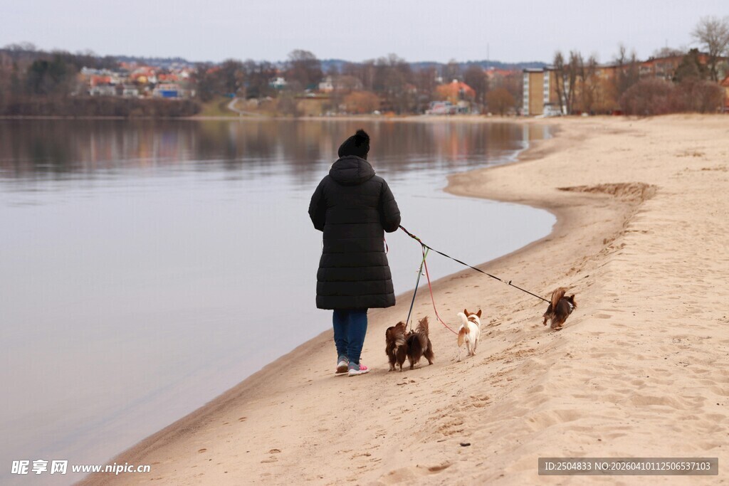 冬日湖畔女子牵狗漫步