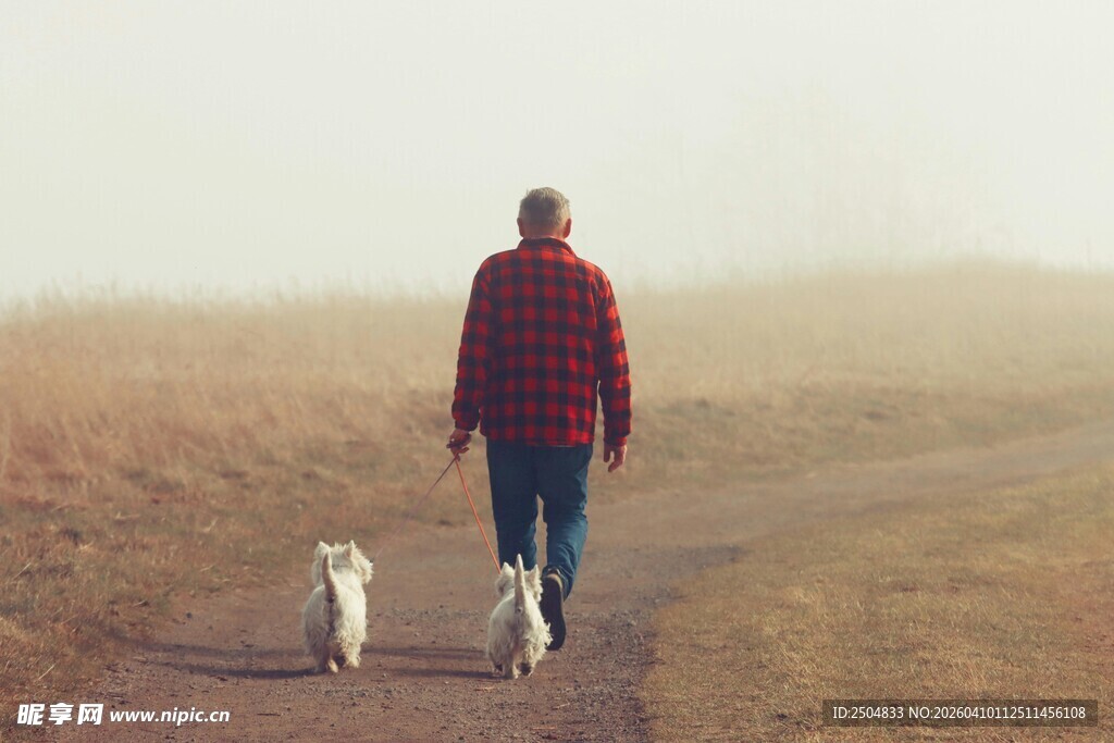 一人两犬漫步于旷野