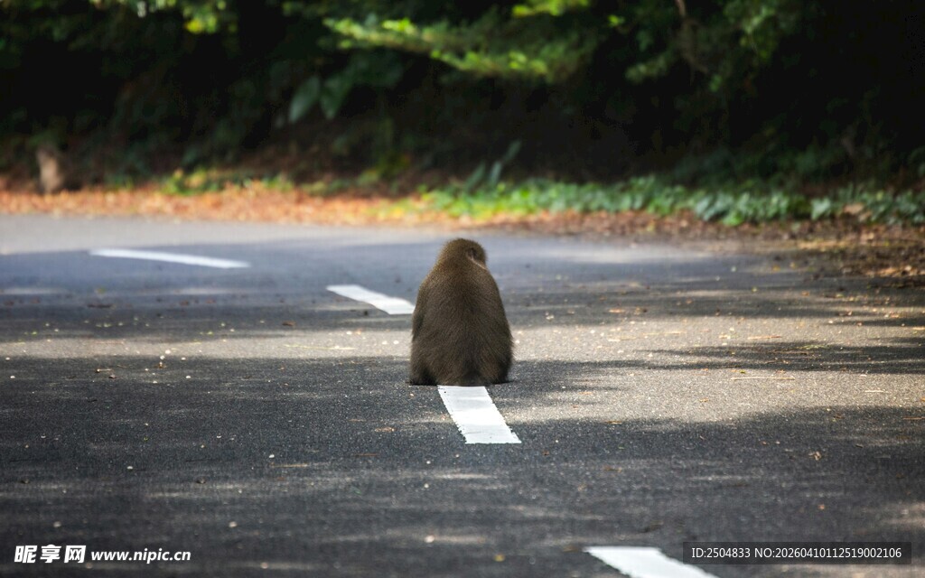 道路上的锥形交通路标