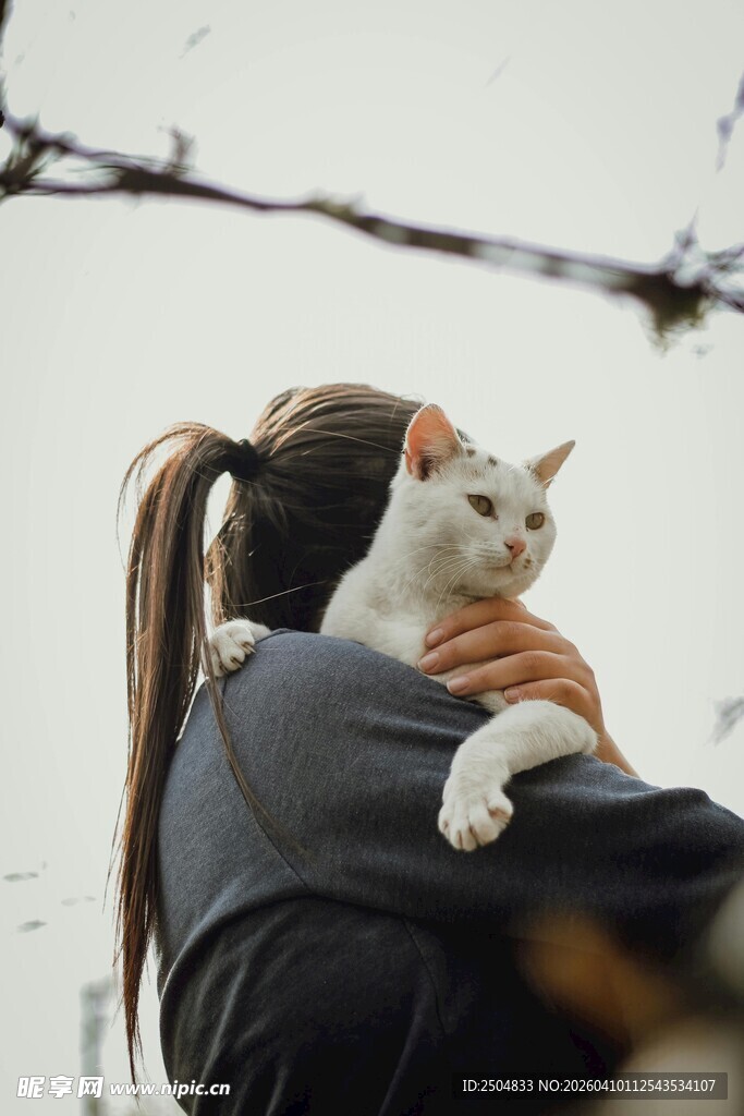 女 肩头的可爱白猫
